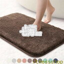 50x80cm 玄関マット カーペット 吸水マット 絨毯 屋外 室内 洗える 洗濯機OK 玄関ラグ 吸水 厚手 毛織 滑り止め付き トイレ 浴室 足ふきマット ...