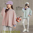 THOM WILLS 新生活 子供服 パーカー 長袖 女の子 キッズ 2colors ストライプ 長袖パーカー キッズファション スウェット トレーナー 春秋着 トップス ガールズ スウェット ミドル丈 ゆったり 可愛い おしゃれ 小学生