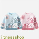 THOM WILLS 新生活 子供服 ニットセーター キッズ ベビー 男の子 女の子 長袖 セーター ニット キッズ服 トップス 春服 秋服 冬服 シンプル オ...