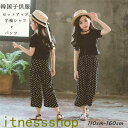 THOM WILLS 新生活 韓国子供服 セットアップ キッズ 女の子 春夏 2点セット 上下セット 夏服 薄手 Tシャツ 半袖 ショットパンツ ジュニア おし...