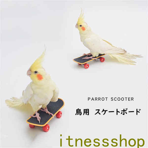 スケートボード 鳥用 2点セット 中型 インコ オウム 鳥用品 ペット 鳥 爪とぎ おもちゃ 立て 知育 玩具 訓練玩具 ストレス解消 運動不足解消