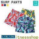 新生活 ギフト サーフパンツ メンズ 海水パンツ 水遊び 普段着 街履き L XL 2XL 旅行 プール 海 海外旅行 沖縄 夏 スイムパンツ 水陸両用 タウンユース 街 ビーチ リゾート ハーフパンツ