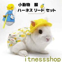 ハーネス リード 服 セット ウサギ 小動物 脱出防止 胴輪 散歩 お出かけ 写真撮り 道具 果物デザイン リード付き おしゃれ かわいい ペット用 小動物用 ...