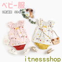 THOM WILLS 新生活 ベビー服 子ども服 おしゃれ 女の子 セットアップ ワンピース パンツ 上下セット キッズ服 2色選択 子供服 キッズ 動物 ノー...
