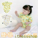 THOM WILLS ギフト ベビー服 子ども服 おしゃれ 女の子 男の子 セットアップ Tシャツ パンツ 上下セット キッズ服 2色選択 子供服 キッズ 動物...