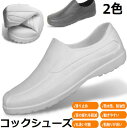 【先着100名様1250円】 あす楽 翌日発