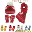 新生活 豪華なサンタ帽子(手袋+帽子+マフラー) 【 サンタ コスプレ 大人用 ハット 変装グッズ クリスマス 仮装 小物 かぶりもの