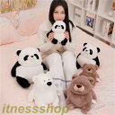 新品 ぬいぐるみ 子供用 パンダ くま 抱き枕 白クマ 茶クマ 22cm 抱き枕 ぬいぐるみ キリン キッズ おもちゃ 動物 抱き枕 子供の日 可愛い インテリア 寝そべり象 誕生日 プレゼント フト 店飾り(3)