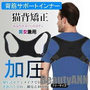 矯正ベルト 猫背矯正ベルト 巻き肩サポーター 巻き肩対策 巻き肩ベルト 巻き肩ケア 猫背ケア 猫背ケアベルト 猫背ベルト 巻き肩 矯正 猫背 姿勢ベルト 背筋ベ...