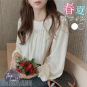 THOM WILLS 新生活 シャツ ブラウス 春夏 秋 シフォン レディース ボリューム袖 長袖 シャツ オフィス トップス 通勤 スーツ インナー 入学式 ...