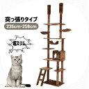 キャットタワー 突っ張り スリム 省スペース おしゃれ 全高235-285cm 爪研ぎ ハンモック付き 階段 つっぱり 上りやすい 猫タワー キャットハウス 猫...