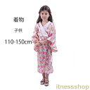 着物 洗える着物 キッズ 女の子 2023夏 オリジナル きれい