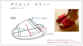 サイズ