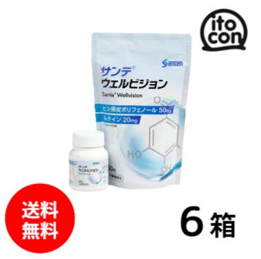 ★【送料無料】★ サンテウェルビジョン 60粒 6個 （約6か月分）
