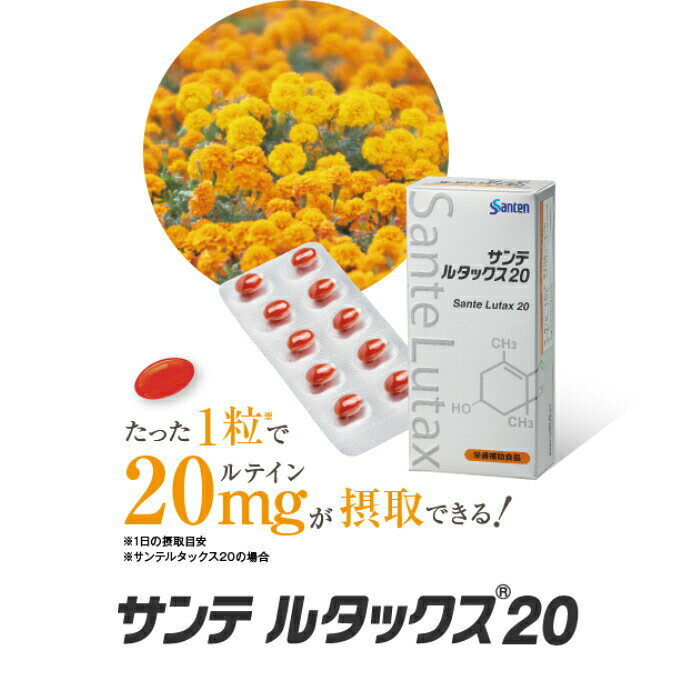 【送料無料】 サンテルタックス20 30粒 6箱（約6か月分） ito-con-10000187 いとしまコンタクト 楽天市場店 サンプル画像2