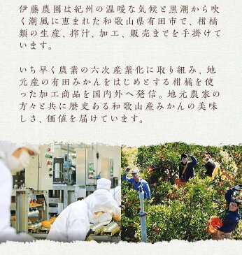 母の日 ギフト プレゼント みかんジュース ストレート オレンジジュース 無添加 果汁100% フルーツ ジュース 送料無料 あす楽 2020 実用的 セット 花以外 誕生日 母 おしゃれ かわいい 母の日ギフト 花