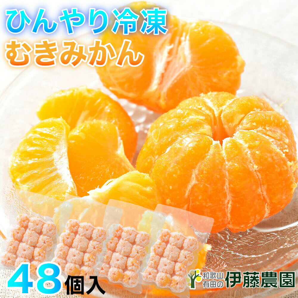みかん 冷凍 有田みかん 48個入 無添加 和歌山産 蜜柑 むきみかん 冷凍みかん 美味しい おいしい シャーベット ソルベ スイーツ作りの材料に