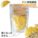 お中元 ギフト フリーズドライ フルーツ みかん 添加物不使用 無添加 お菓子 御中元 おやつ 誕生日 内祝い 結婚祝い 出産祝い 出産内祝い 洋菓子