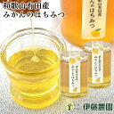 はちみつ みかん 和歌山 450g 2個 純粋蜂蜜 蜂蜜 ハチミツ みかん蜜 無添加 ギフト 贈答用 誕生日プレゼント 内祝い 結婚祝い 出産祝い 出産内祝い