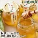 はちみつ 珊瑚樹 和歌山 100g 純粋蜂蜜 蜂蜜 ハチミツ 花 無添加 ギフト 贈答用 誕生日プレゼント 内祝い 結婚祝い 出産祝い 出産内祝い