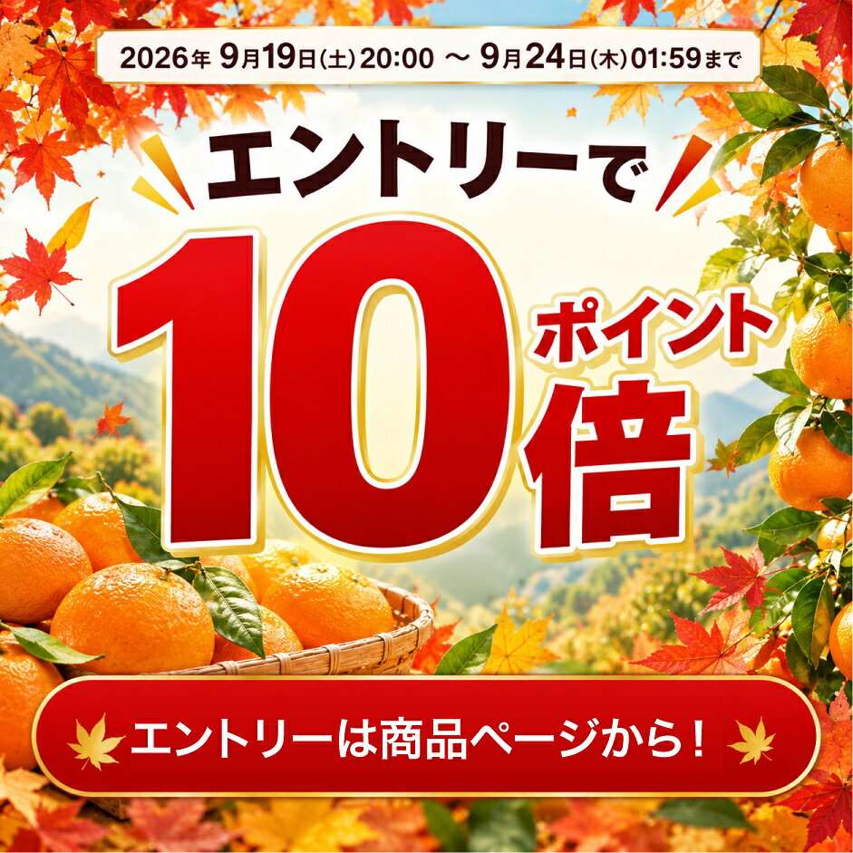 【エントリーでP10倍◆9/19(土)20:00〜9/24(木)1:59】みかん 訳あり 2.5kg 5kg 10kg 極早生 早生 中生 晩生 有田みかん 温州みかん 送料無料 3S〜S こつぶ 小玉 2S〜3L ミックス 不ぞろい 蜜柑 ミカン フルーツ 果物 和歌山【やまきずくん】【こつぶちゃん】 ito-noen-10000060 伊藤農園【ジュースと果実】 サンプル画像2