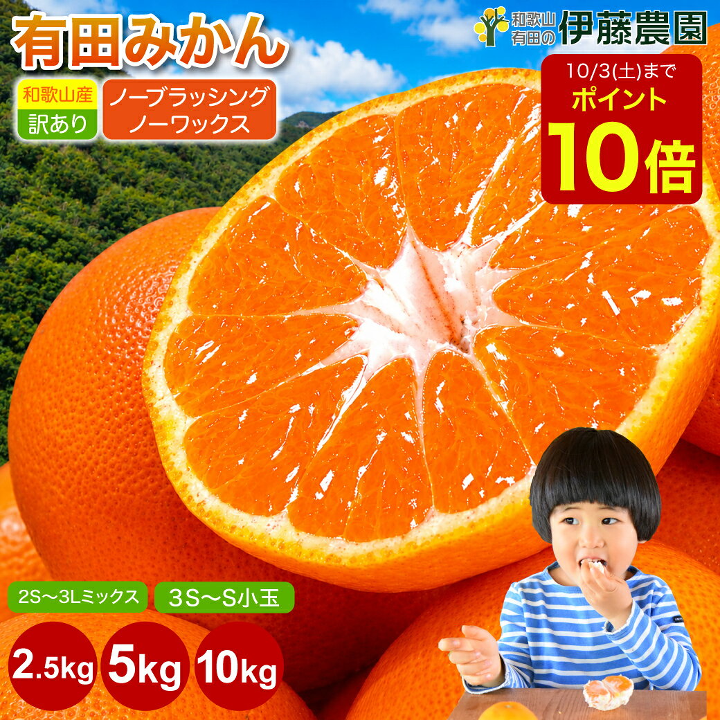 ＼ポイント10倍◆9/30(水)〜10/3(土)まで／みかん 訳あり 2.5kg 5kg 10kg 極早生 早生 中生 晩生 有田みかん 温州みかん 送料無料 3S〜S こつぶ 小玉 2S〜3L ミックス 不ぞろい 蜜柑 ミカン フルーツ 果物 和歌山【やまきずくん】【こつぶちゃん】