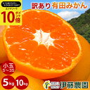\エントリーでポイント10倍/みかん 訳あり 5kg 10kg 早生 中生 晩生 小粒 小玉 送料無料 S 2S 3S 有田みかん 蜜柑 ミカン フルーツ 果物 和歌山