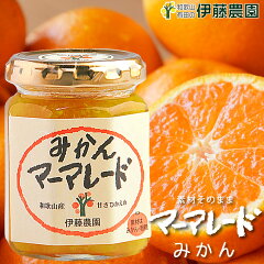 https://thumbnail.image.rakuten.co.jp/@0_mall/ito-noen/cabinet/jum/ma-thum-mikan1.jpg