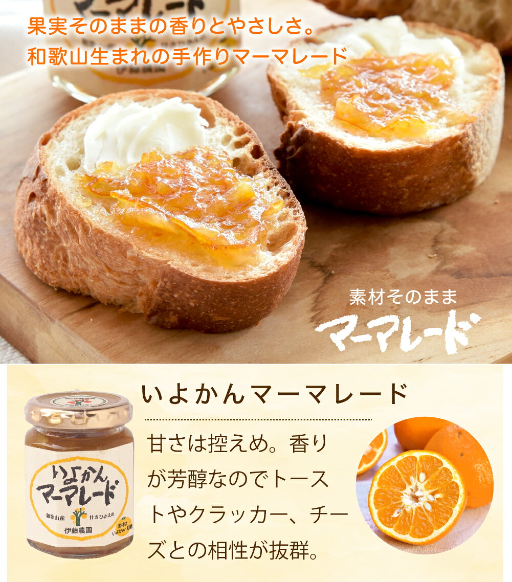 いよかん マーマレード 140g 和歌山 無添加 みかん 自家用 お菓子 ケーキ スイーツ 材料 お試し 伊予柑 ギフト 贈答用 ギフト 即日発送 ito-noen-10000147 伊藤農園【ジュースと果実】 サンプル画像2