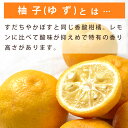 ゆず果汁 100％ 和歌山 国産 ストレート 小分け瓶 100ml 無添加 調味料 ぽん酢 ドレッシング チューハイ 材料 柚 柚子 ユズ 3