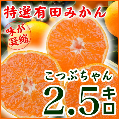 農園直送価格！本場和歌山有田のみかん『有田みかん』が2箱で送料無料⇒3箱で1箱おまけの破格大特価♪伊藤農園　有田みかん・蜜柑・ミカン『こつぶちゃん』　安心の特別栽培　ご家庭用みかん