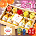 楽天市場人気商品