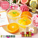 母の日 遅れてごめんね ギフト プレゼント ゼリー 詰め合わせ フルーツゼリー みかんゼリー 洋菓子 スイーツ 90g 6個 送料無料 みかんジュレ 誕生日プレゼント 内祝い 結婚祝い 出産祝い 出産内祝い おしゃれ