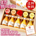 楽天市場人気商品