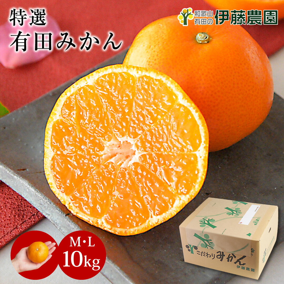 みかん 10kg 贈答用 秀品 特選 送料無料 和歌山 M L 伊藤農園 大玉 中玉 手詰め 有田みかん 温州みかん 約60個～80個 果物 柑橘出産内祝い 贈答 ギフトのサムネイル