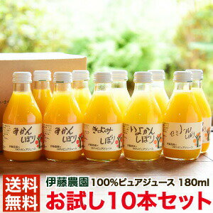 送料無料 みかんジュース オレンジジュース お試し みかんしぼり 伊藤農園 無添加 ストレート 100% 180ml 10本 有田みかん 国産 和歌山産 出産内祝 お返し ギフト 贈り物 詰め合わせ