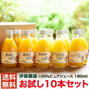 みかんジュース ストレート 飲み比べ 180ml 10本 お試し 無添加 内祝い ギフト プレゼント 試し飲み みかんしぼり 伊藤農園 有田みかん