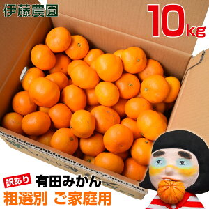 みかん 10kg 送料無料 訳あり 和歌山ブランド 有田みかん 本場 和歌山みかん ご当地 お取り寄せ お歳暮・お年賀・御歳暮・贈答・ギフト