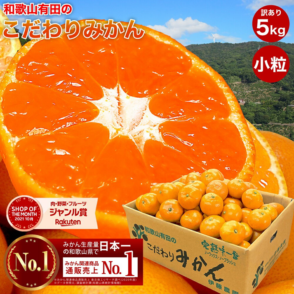 みかん 訳あり 5kg 送料無料 小粒 小玉 有田みかん 蜜柑 ミカン フルーツ 温州 家庭用 果物 柑橘 伊藤農園 和歌山 産地直送 取り寄せ お取り寄せグルメ 箱買い 手詰め 光センサー選別　家庭用 お歳暮 手土産