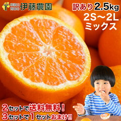 https://thumbnail.image.rakuten.co.jp/@0_mall/ito-noen/cabinet/otokuorange/311-8i-thum3.jpg