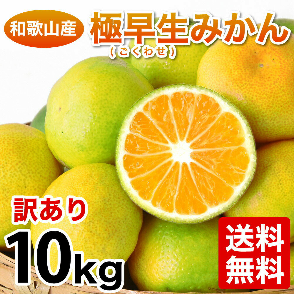 【9月下旬以降に発送予定】みかん 訳あり 10kg 極早生みかん 送料無料 Sサイズ Mサイズ Lサイズ 2Lサイズ ミックス 不ぞろい 有田みかん 蜜柑 ミカン フルーツ 温州 家庭用 果物 柑橘 和歌山 産地直送 取り寄せ お取り寄せグルメ 箱買い 光センサー選別