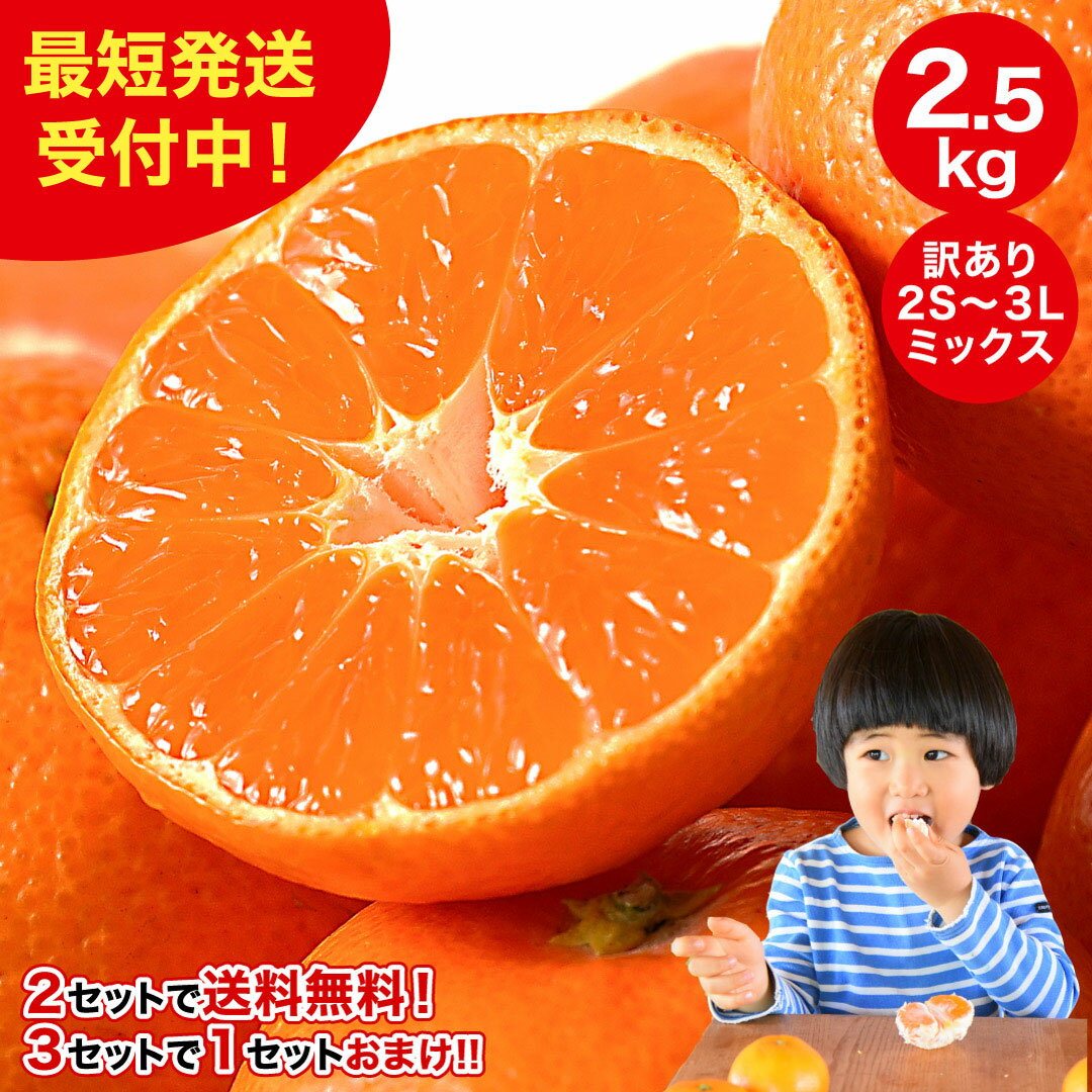 \クーポン利用で最大300円OFF!※条件あり/\2箱購入で送料無料 3箱購入でおまけ増量!/みかん 訳あり 2.5kg 2箱 5kg 10kg 中生 晩生 有...