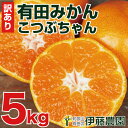 みかん 訳あり 5kg 送料無料 小粒み...