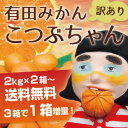 お年賀 みかん 訳あり 小玉 自宅用 2kg 伊藤農園 2箱...
