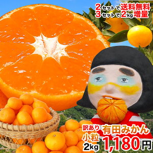 みかん 訳あり 小玉 早生 中生 2kg 2箱買うと送料無料 3箱買うと1箱増量 有田みかん 小粒みかん 蜜柑 ミカン フルーツ 温州 家庭用 果物 柑橘 伊藤農園 和歌山 特別栽培 減農薬 産地直送 取り寄せ お取り寄せグルメ 箱買い 手詰め 光センサー選別 お歳暮 手土産