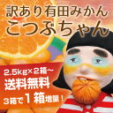 【200Pプレゼントキャンペーン】【有田みかん・訳あり】こつぶちゃん2.5kg【2箱〜送料無料...