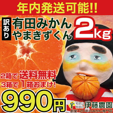 みかん 訳あり 小粒 大粒 混合 自宅用 2kg 伊藤農園 2箱 購入 送料無料 3箱 買って 1箱 おまけ 和歌山 国産 防腐剤 不使用