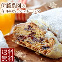 【楽天ランキング1位】 ギフト シュトーレン クリスマスケーキ 送料無料 メッセージカード ドライフルーツ みかん クリスマス 限定 数量限定 送料込 ドイツ 伝統 定番 洋菓子 贈り物