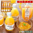プレゼント 内祝 御歳暮ギフト みかんジュース ストレート ...