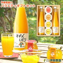 みかんジュース ギフト みかんゼリー 詰め合わせ ギフト 内祝い V-203 無添加 和歌山 誕生日プレゼント 内祝い 結婚祝い 出産祝い 出産内祝い 送料無料 ジュース ゼリー